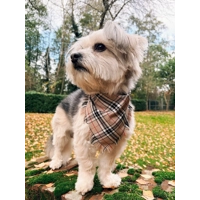 Frayed Barkberry Tan & White Plaid Bandana - Scamps