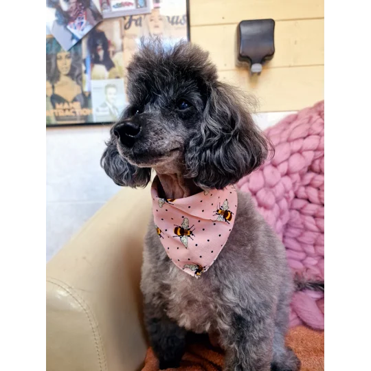 Rose Petal Pink Cord Bumble Bee Polka Dots Dog Bandana