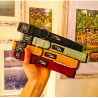 Sage Green Cord Dog Collar