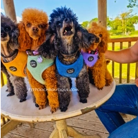 Jaguar Blue Cord Dog Harness