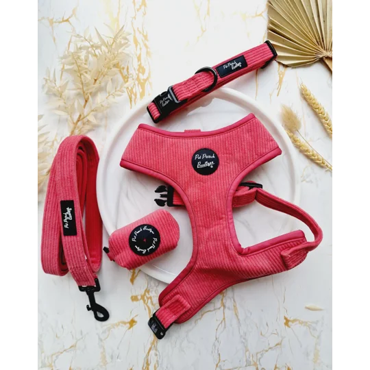 Rose Pink Cord Dog Collar