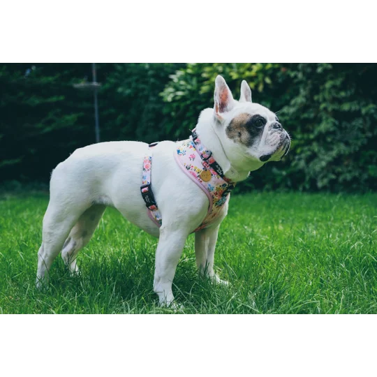 Cottage Floral Dog Collar- OPTIONAL FLOWER ACCESSORY