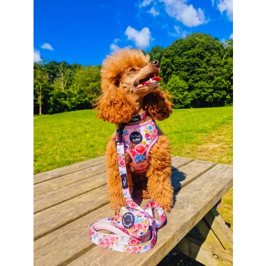 Cottage Floral Dog Collar- OPTIONAL FLOWER ACCESSORY
