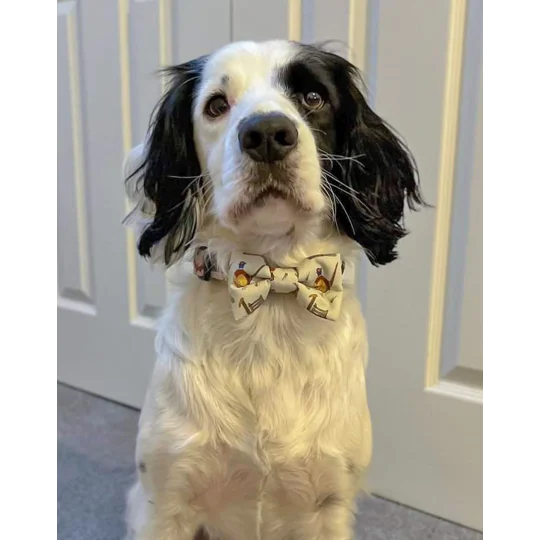 Country Pheasant Dog Bow Tie