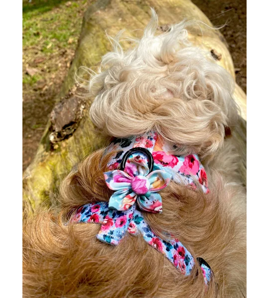Country Rose Flower Collar Attachment