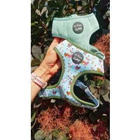 Countryside Ducks Dog Harness