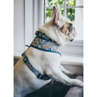 Shipwrecked Nautical Dog Collar