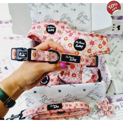 Daisy Chain Dog Collar