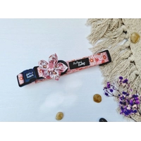 Daisy Chain Dog Collar