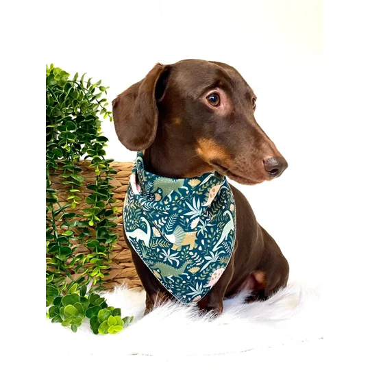 Dino Rawr Dog Bandana