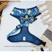 Dino Rawr Dog Harness  - optional bow tie accessory Dino Rawr Dog Harness  - optional bow tie accessory