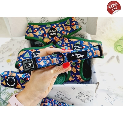 Christmas Dino Rawr Biscuits Dog Collar