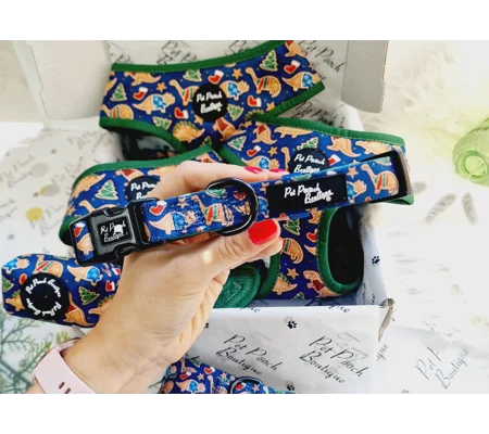 Christmas Dino Rawr Biscuits Dog Collar