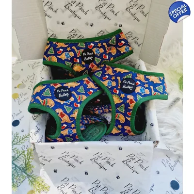 Christmas Dino Rawr Biscuits Dog Harness