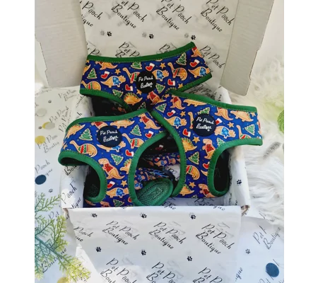 Christmas Dino Rawr Biscuits Dog Harness