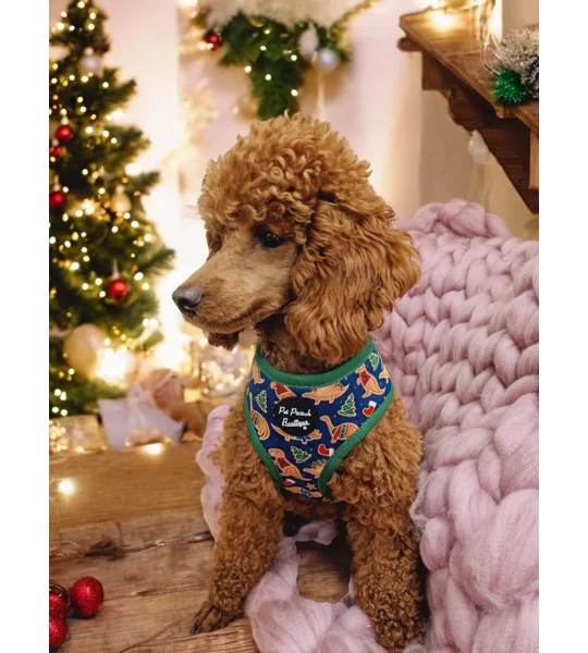 Christmas Dino Rawr Biscuits Dog Lead - Reversible