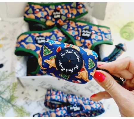 Christmas Dino Rawr Biscuits Poo Bag Holder