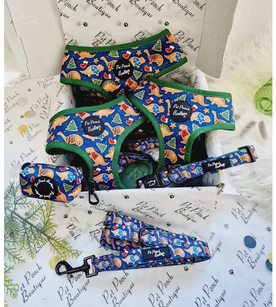 Christmas Dino Rawr Biscuits Dog Lead - Reversible