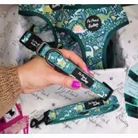 Dino Rawr Dog Collar