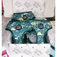 Dino Rawr Dog Harness  - optional bow tie accessory