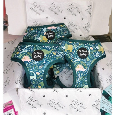Dino Rawr Dog Harness - optional bow tie accessory Dino Rawr Dog Harness - optional bow tie accessory
