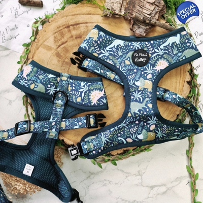 Dino Rawr Dog Harness - SECONDS