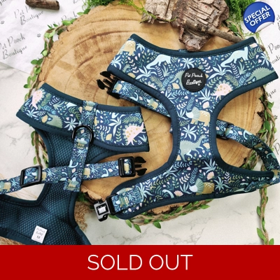 Dino Rawr Dog Harness - SECONDS