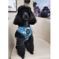 Dino Rawr Dog Harness  - optional bow tie accessory Dino Rawr Dog Harness  - optional bow tie accessory