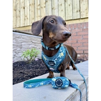 Dino Rawr Dog Harness  - optional bow tie accessory Dino Rawr Dog Harness  - optional bow tie accessory