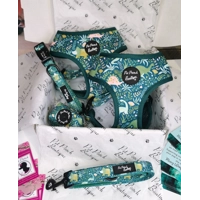 Dino Rawr Dog Bow Tie