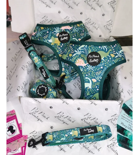 Dino Rawr Dog Bow Tie