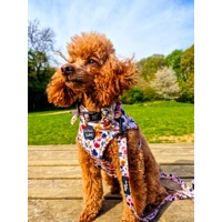 Little Enchanted Meadows Floral Dog Lead - Reversible