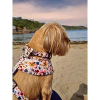 Little Enchanted Meadows Floral Flower Collar Attachment