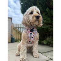 Little Enchanted Meadows Floral Dog Harness  - optional flower accessory