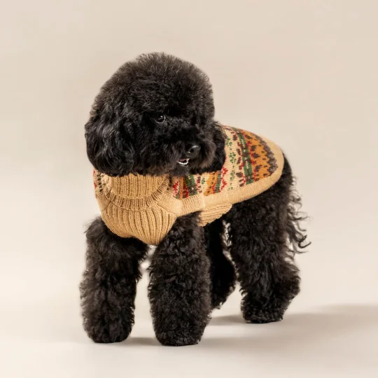 Fair Isle Finn Alpaca Wool Dog Jumper - Alqo Wasi