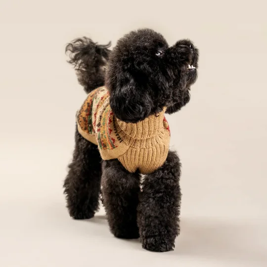 Fair Isle Finn Alpaca Wool Dog Jumper - Alqo Wasi