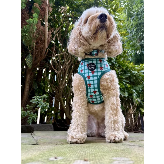 Festive Plaid Christmas Dog Harness