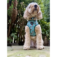 Festive Plaid Christmas Dog Collar
