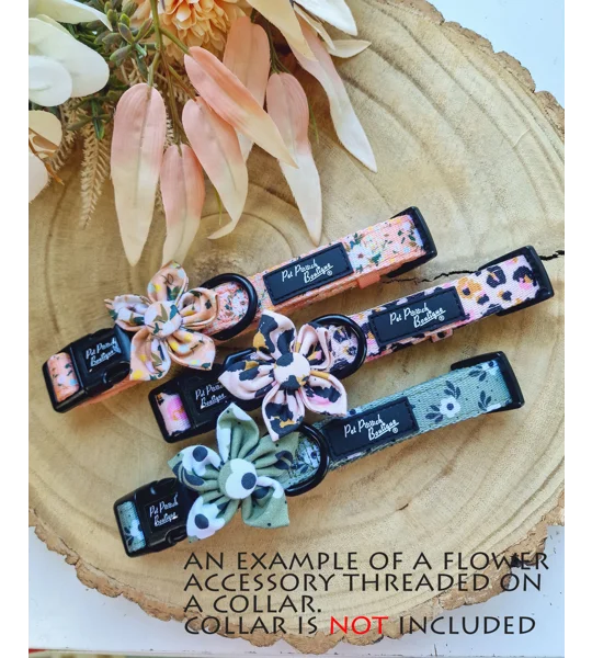 Honey Bumble Bee Flower Collar Attachment