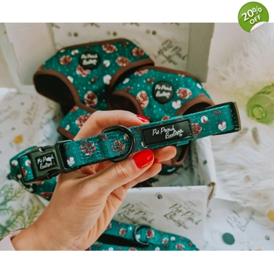 Forest Fir Cone Dog Collar