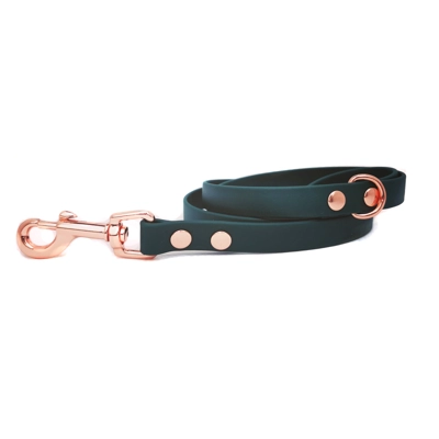 Forest Green Biothane Dog Lead Forest Green Biothane Dog Lead