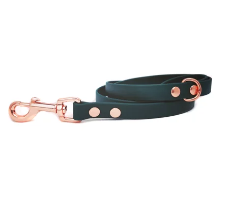 Forest Green Biothane Dog Lead