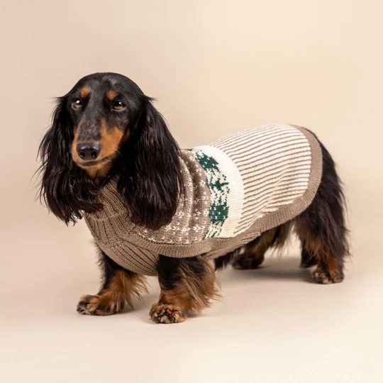 Frosted Grove Knit Alpaca Wool Dog Jumper - Alqo Wasi