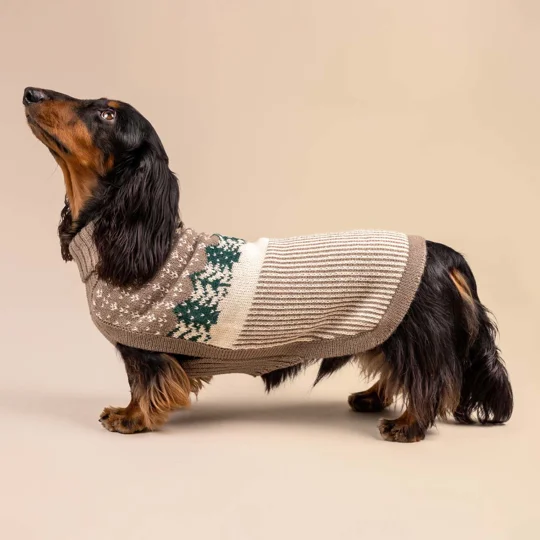 Frosted Grove Knit Alpaca Wool Dog Jumper - Alqo Wasi