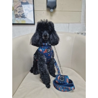 Gingerbread Biscuit Dog Dog Harness