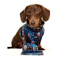 Gingerbread Biscuit Dog Dog Harness