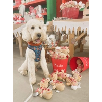 Gingerbread Biscuit Dog Dog Harness