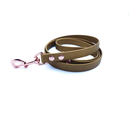 Gold Biothane Dog Lead