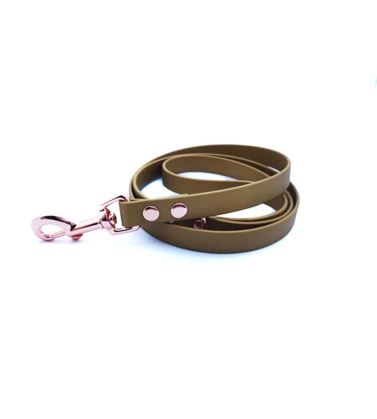 Gold Biothane Dog Lead