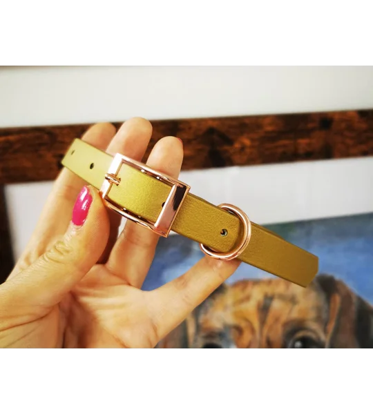 Gold Biothane Dog Collar - Optional Fittings